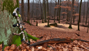Late November forest scene with a camouflaged compound bow resting near a feeding area in muted pastel style
